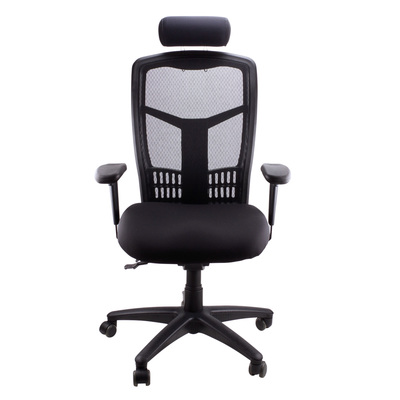Deluxe Pro Task Chair High Mesh Back
