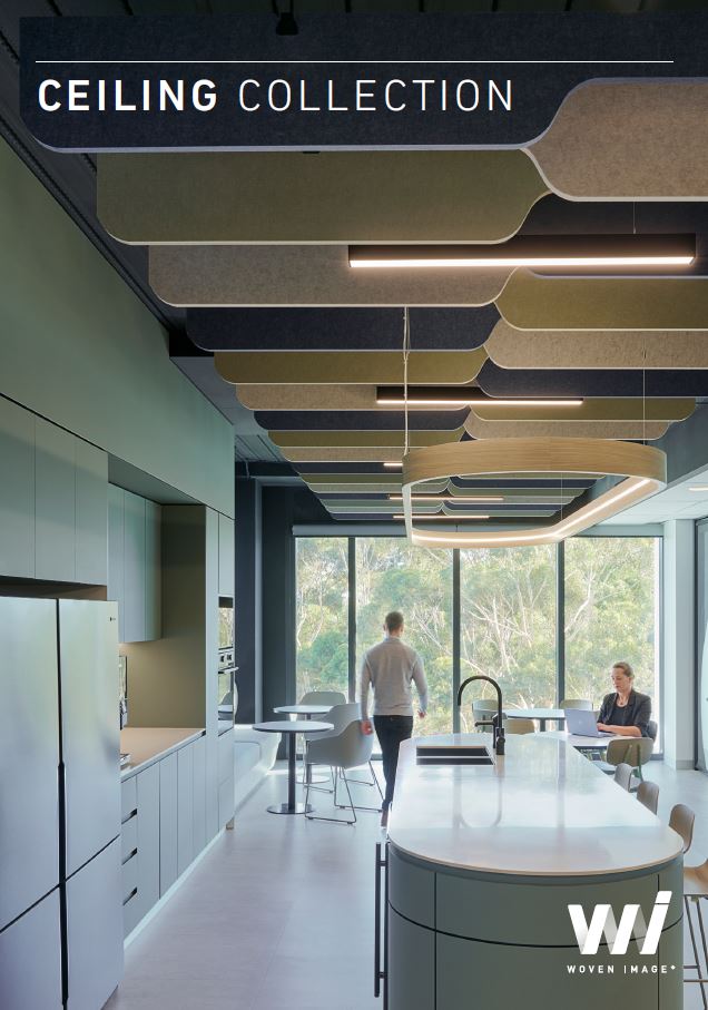 EchoPanel Ceiling Solutions